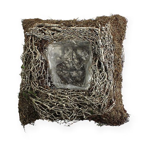 Floristik24 Kvadratinė sėjamoji 20cm x 20cm