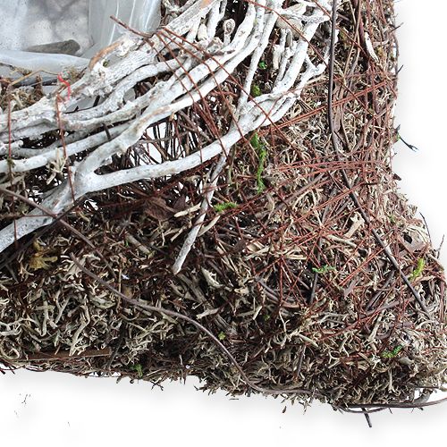 Floristik24 Kvadratinė sėjamoji 20cm x 20cm