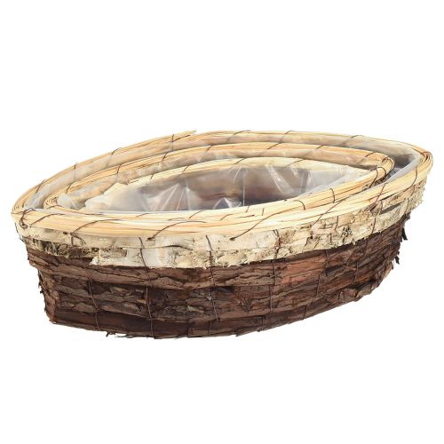 Floristik24 Augalinės valtys medžio žievė 3 spalvų 33,5/40/48cm rinkinys iš 3 vnt.