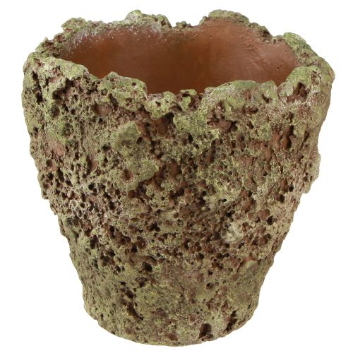 daiktų Sodinti vazoną kaimiškas vazonas samanų išvaizda Ø17cm H16.5cm 4vnt