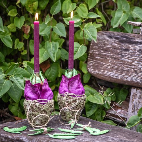 daiktų Sodinti vazoną kaimiškas vazonas samanų išvaizda Ø17cm H16.5cm 4vnt