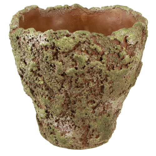 Vazonas kaimiškas vazonas žaliai ruda Ø21cm A19,5cm