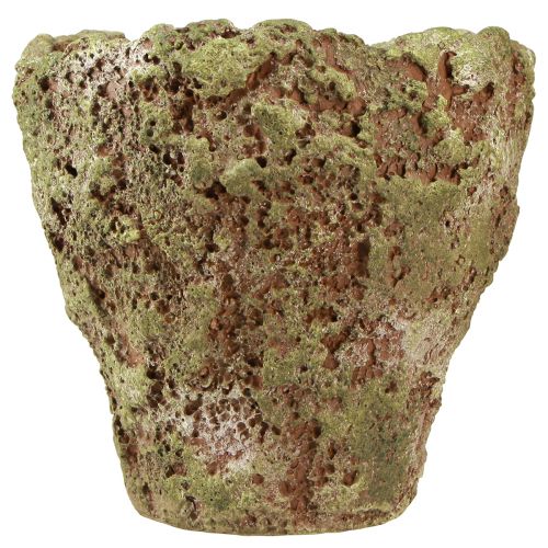 daiktų Vazonas kaimiškas vazonas žaliai ruda Ø21cm A19,5cm