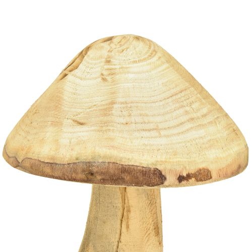 Floristik24 Natūralus dekoratyvinis grybas iš guobos medienos medinis grybas 27cm