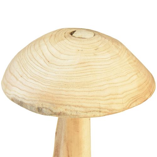 Floristik24 Natūralaus guobos medžio grybo skulptūra - Kaimiškas dizainas, 37 cm - Stilinga sodo ir interjero puošmena
