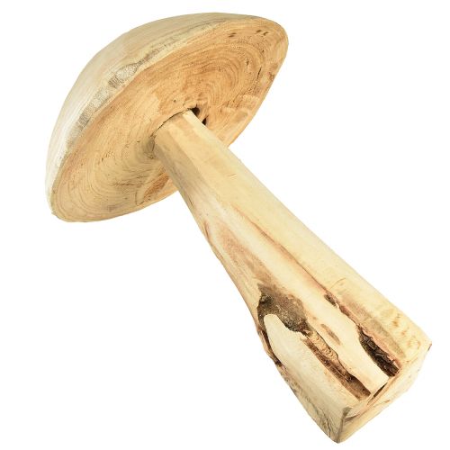 Floristik24 Natūralaus guobos medžio grybo skulptūra - Kaimiškas dizainas, 37 cm - Stilinga sodo ir interjero puošmena
