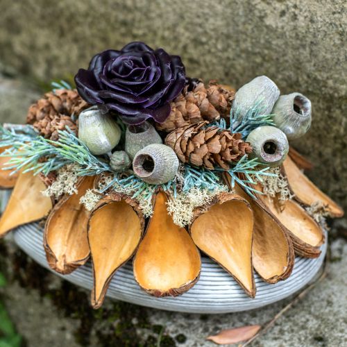 Floristik24 Vaisių ir sėklų kapsulinės ankštys Pradeep Pods 9-12 cm natural 50 vnt