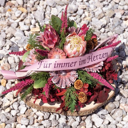 daiktų Protea rozetiniai viržiai matiniai Ø8-9cm 25 vnt