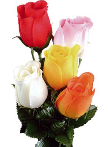 Floristik24 Rožių spalvos 72 vnt