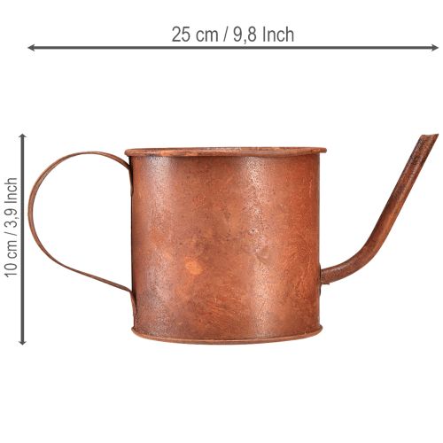 daiktų Surūdijęs dekoratyvinis laistytuvas, mini augalų vazonas, metalinis, Ø10cm, aukštis9cm