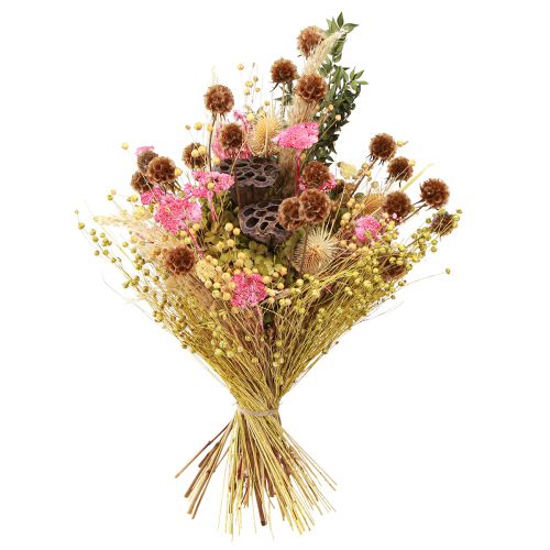 daiktų Scabiosa džiovintos natūralios scabiosa džiovintos gėlės H50cm 100g