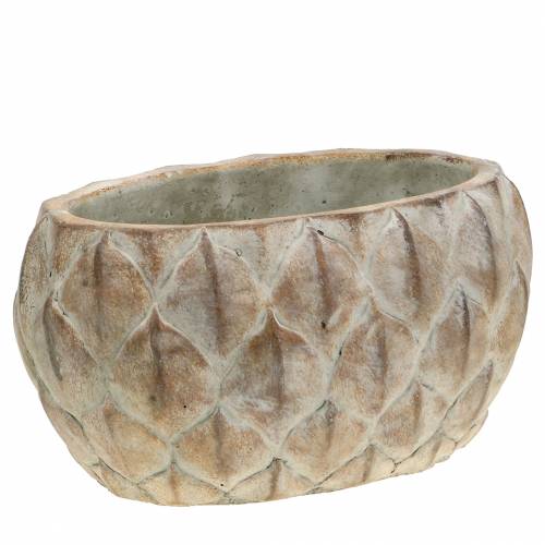 Floristik24 Sodinamosios betoninės lapų motyvas ovalus 23 cm