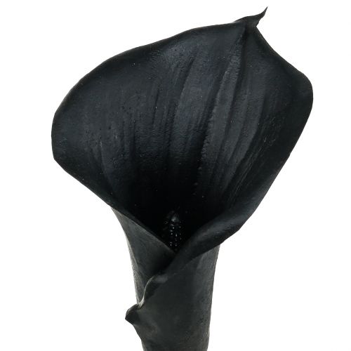 daiktų Deco Calla Black 75cm