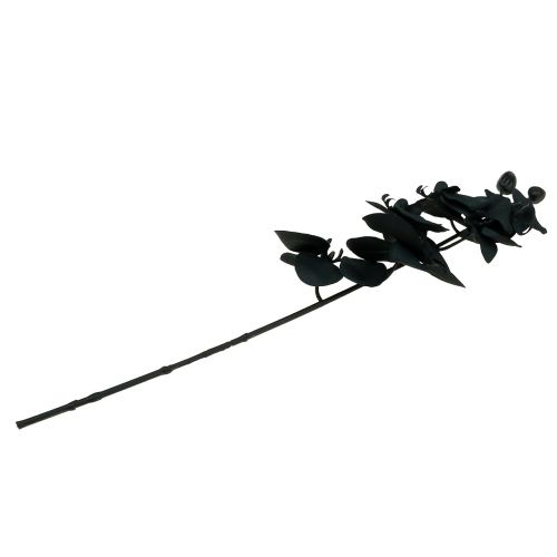 daiktų Orchidėja papuošti Juoda 54cm