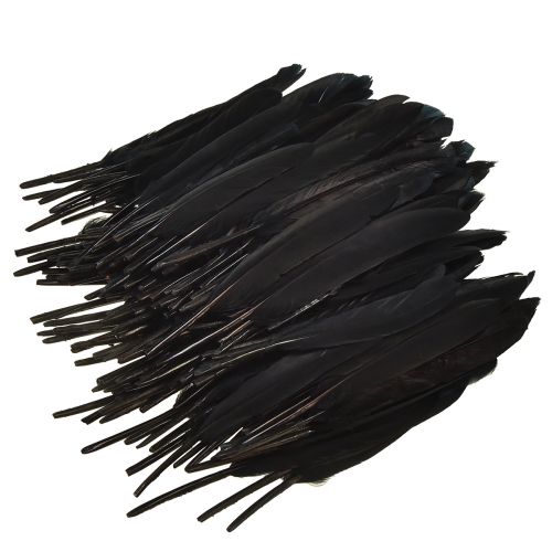 daiktų Juodos plunksnos Dekoratyvinės žąsies plunksnos Juodos 11-14cm 180 vnt