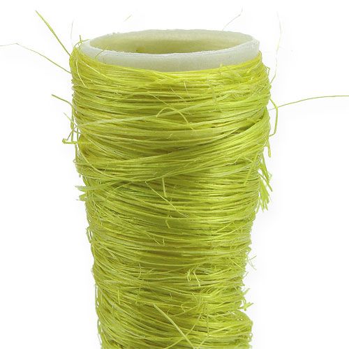 daiktų Sizalio smaili vaza šviesiai žalia Ø3,5cm L40cm 5vnt