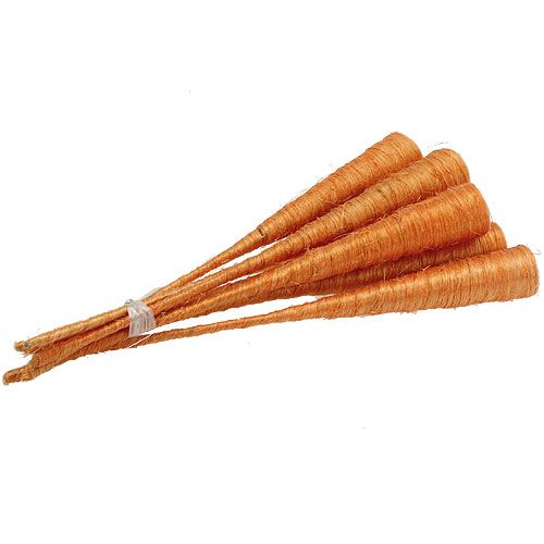 Floristik24 Sizalio vaza oranžinė Ø3cm L30cm 12vnt