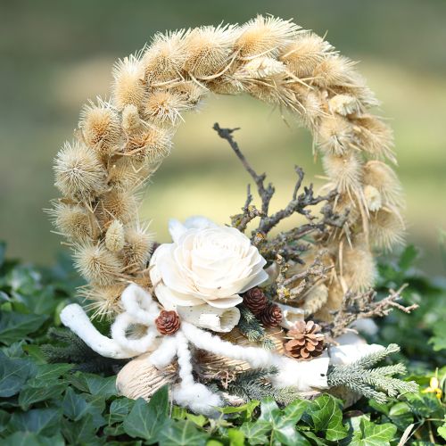 daiktų „Sola Flowers“ medinės gėlės, kreminės spalvos, 6–11 cm, 12–15 vnt.