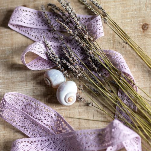 daiktų Nėrinių juostelė Violetinė Dekoratyvinė juostelė Gėlių pavasaris W18mm L20m