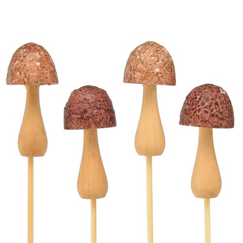 daiktų Gėlių kamštelis grybo dekoratyvinis kamštis medinis rudas Ø2,5cm 8 vnt