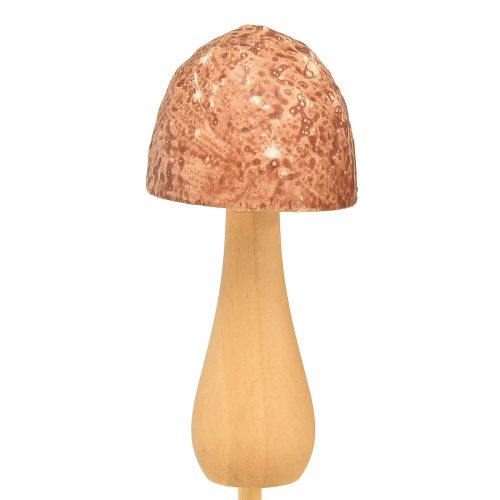 daiktų Gėlių kamštelis grybo dekoratyvinis kamštis medinis rudas Ø2,5cm 8 vnt