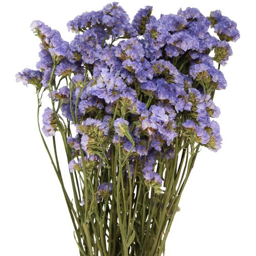 Floristik24 Jūros alyvinė violetinė Statice Limonium sinuatum džiovintos gėlės 60cm 50g