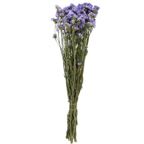 Floristik24 Jūros alyvinė violetinė Statice Limonium sinuatum džiovintos gėlės 60cm 50g