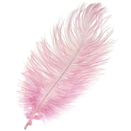 Stručio plunksnos Tikros plunksnos Dekoracija Rožinė 20-25cm 12 vnt