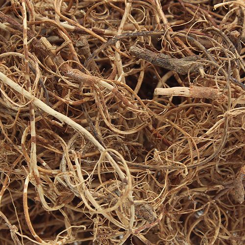 Floristik24 Deco pluoštas Tamarind Fiber Natur rankdarbių medžiaga natūralus pluoštas 500g