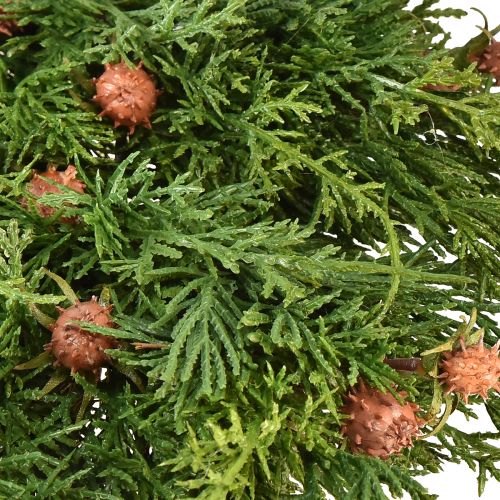 Floristik24 Eglės vainikas Thuja su pumpurų pagrindu vynmedžio vainikas Ø50cm