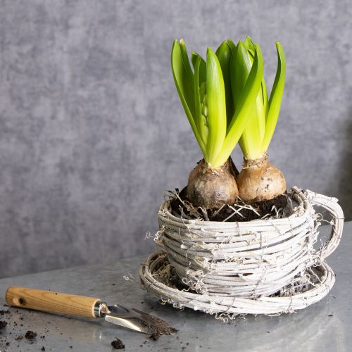 daiktų Arbatos puodelis iš natūralios medžiagos su kaimišku žavesiu išskirtinei interjero dekoracijai 13 cm