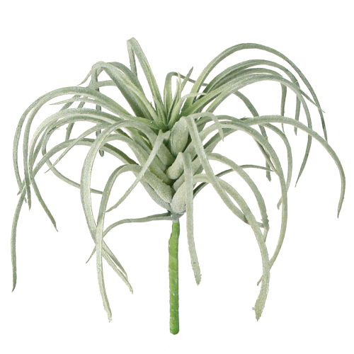 Tillandsia sultingi dirbtiniai žalieji augalai 13cm
