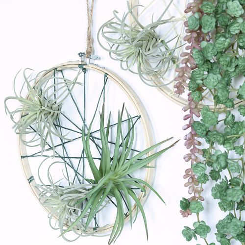 daiktų Tillandsia sultingi dirbtiniai žalieji augalai 13cm