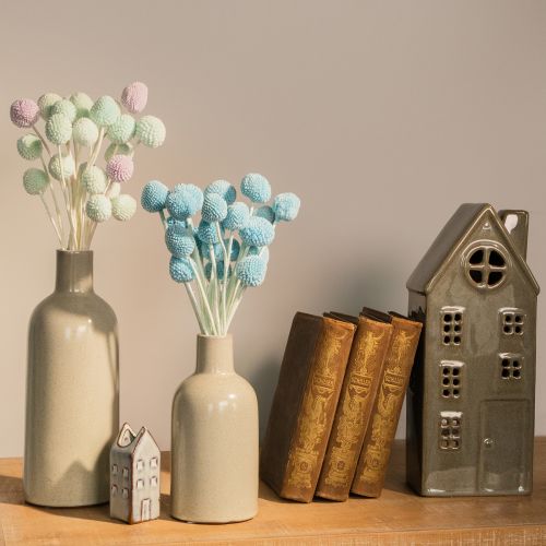 daiktų Džiovintos kraspedijos gėlės, dekoratyvinė puokštė svetainei, stalo dekoracijai, vestuvėms, 55 cm, 20 vnt.