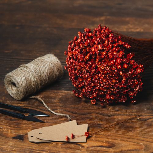 daiktų Džiovintų gėlių puokštė, žavinga vazų ar kompozicijų puošmena, 44 cm