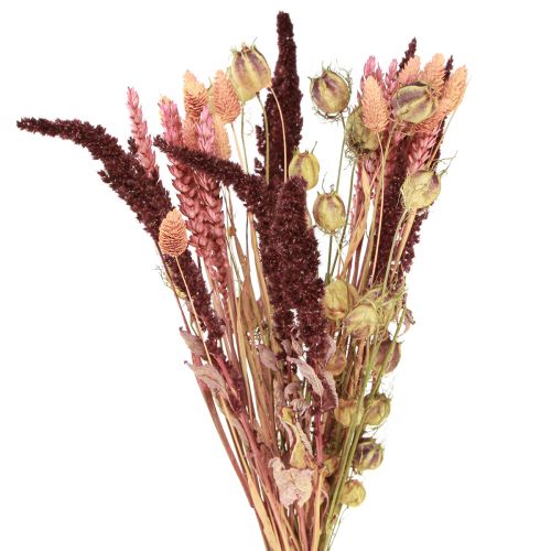 Floristik24 Džiovintų gėlių puokštė Nigella rožinė oranžinė 50cm