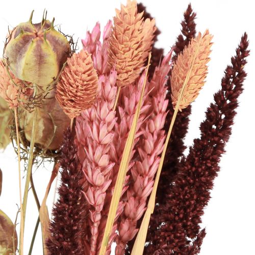 Floristik24 Džiovintų gėlių puokštė Nigella rožinė oranžinė 50cm