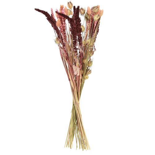 Floristik24 Džiovintų gėlių puokštė Nigella rožinė oranžinė 50cm