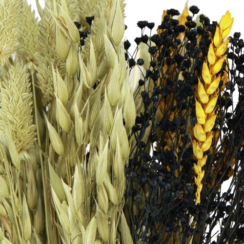 Floristik24 Džiovintų gėlių puokštė grūdėta sausa puokštė geltonai mėlyna 50cm