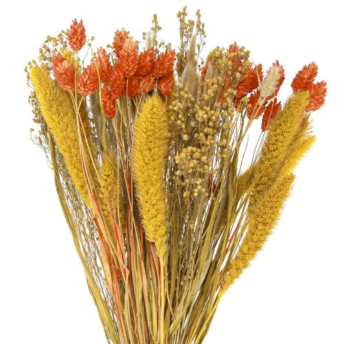 Floristik24 Džiovintų gėlių puokštė su grūdėta oranžine geltona 50cm