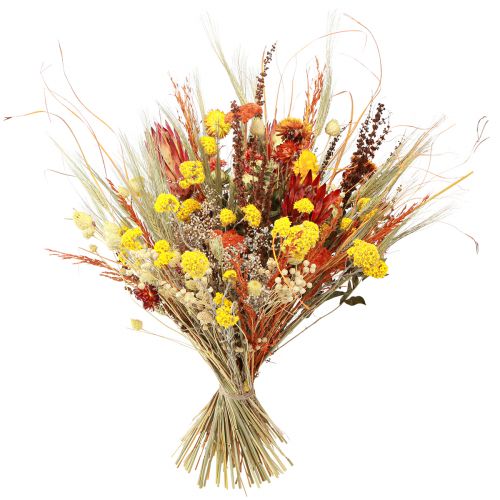 daiktų Sausa puokštė erškėtis kraujažolė oranžinė balinta 55cm 150g