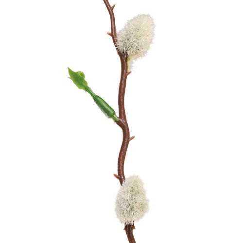Floristik24 Dirbtinė pūlinga gluosnio šakelė 92cm