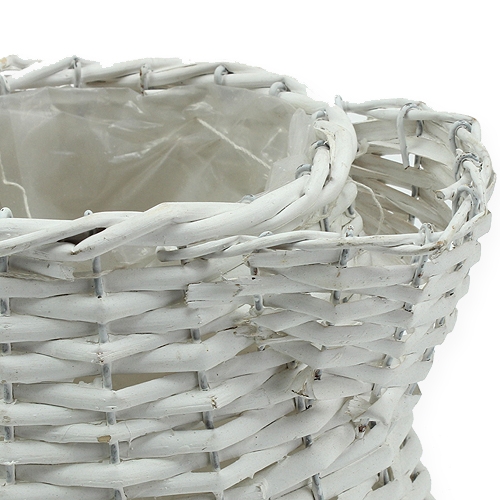 Floristik24 Gluosnių sodinukas baltas Ø13cm H22cm