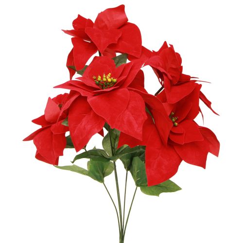 Floristik24 Poinsettia Christmas Star Red Dirbtinis L55cm 2vnt