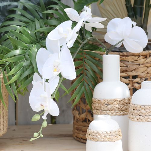daiktų Dirbtinė orchidėja „Falaenopsis Real Touch“, 83 cm