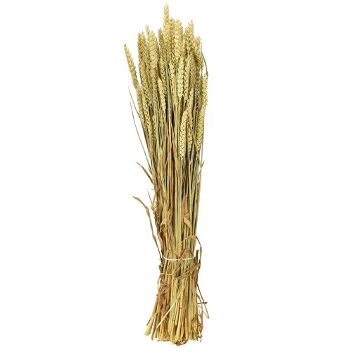 daiktų Kviečių kekė natūrali dekoratyvinė kviečių 1 kekė 150g