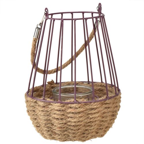 Floristik24 Žibintas su rankena ir stiklu violetinis natūralus Ø18cm H22cm