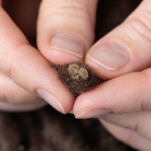 daiktų Pūkuota Mirabell vilnonė virvelė, ruda, 25 m dekoratyvinė juostelė floristikai ir rankdarbiams