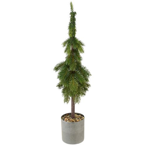 Floristik24 Smailia eglė vazone dirbtinė eglutė Ø12cm H70cm