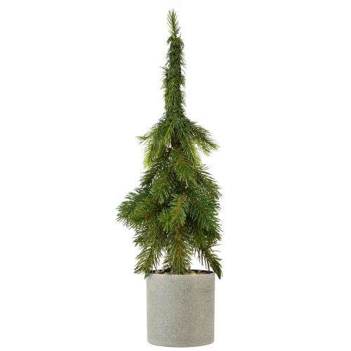 daiktų Dirbtinė eglutė žaliame vazone 55cm